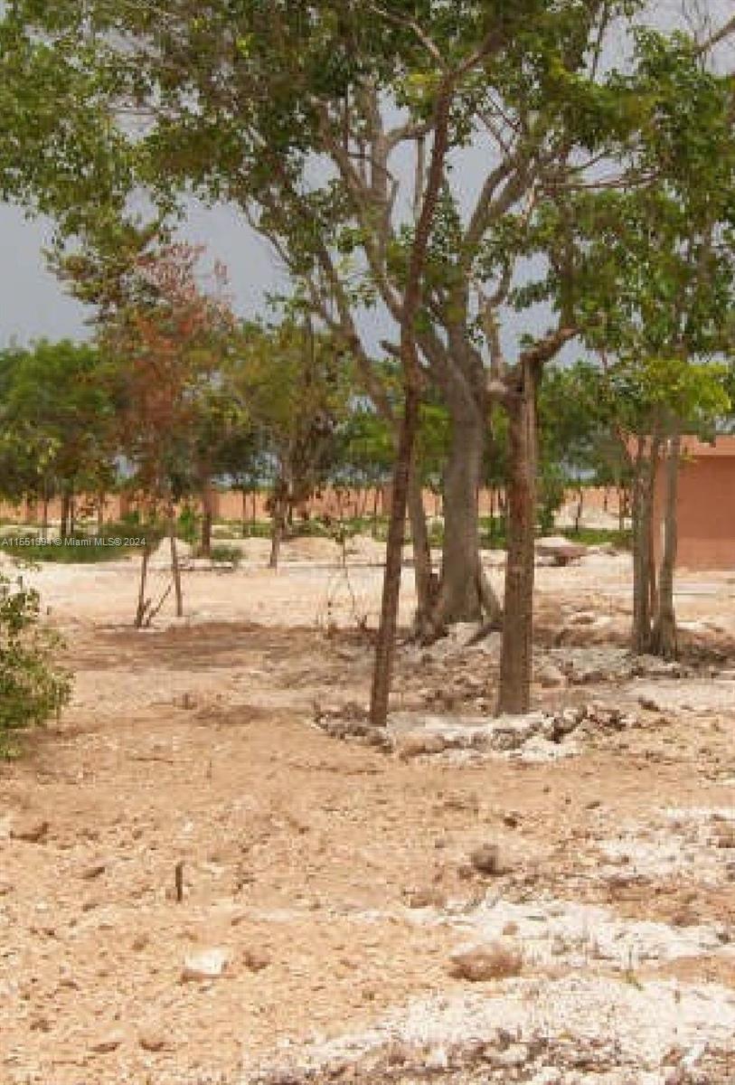 Land for Sale in Dominican Republic Dominican Republic